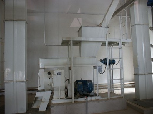 آلة استخراج زيت فول الصويا الفول السوداني معصرة زيت كبيرة لتونس