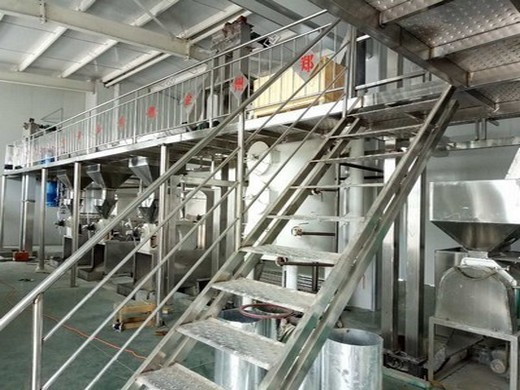 آلة استخراج الزيت الأوتوماتيكية مستخرج زيت السمسم في فيتنام