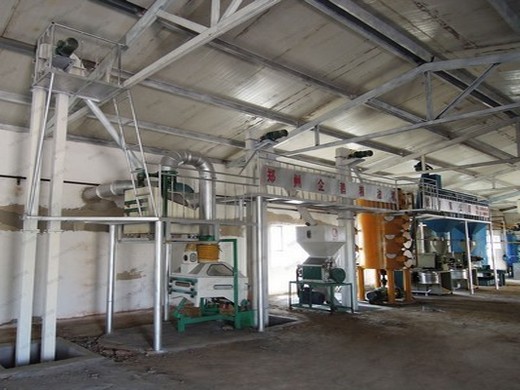 مصنع معالجة زيت النخيل/آلة ضغط الزيت للبيع في تركيا