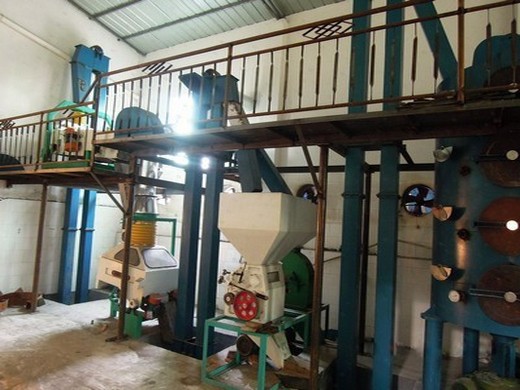 آلة استخراج الزيت بالضغط البارد/آلة ضغط الزيت اللولبية في باراغواي