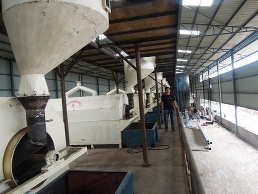 مصنع ماكينات زيت النخيل مصر