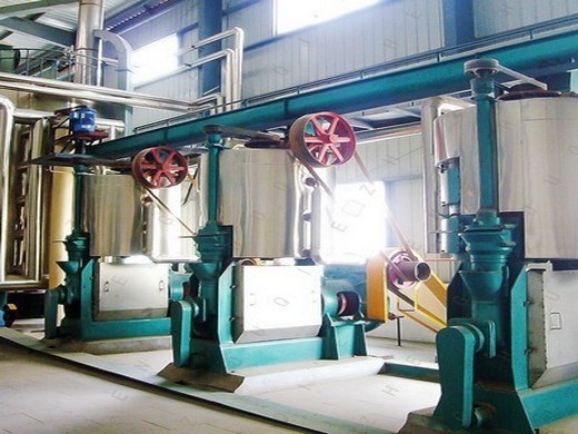 آلة استخراج زيت السمسم مصنع صغير/زيت طهي في تركيا