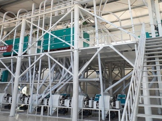 ماكينة معالجة زيت فول الصويا للاستخدام التجاري لعام 2024 لتونس