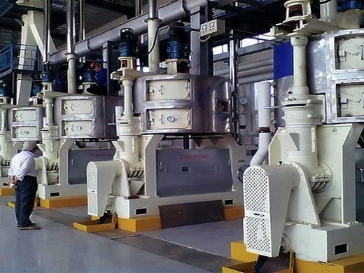 معاصر ضغط الزيت الكبيرة الشركة المصنعة لآلة ضغط الزيت في باراجواي