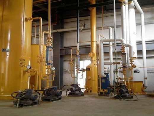 آلة استخراج الزيت على نطاق صغير عالية الكفاءة من مصر